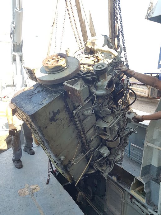 Imagen de Capitol 11 - 2020